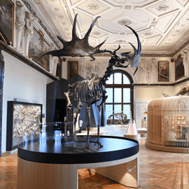 Viena: entradas para el museo de Historia Natural