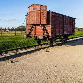 Viena: Visita a Auschwitz Birkenau