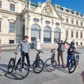 Viena: Visita guiada en bicicleta eléctrica