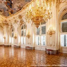 Viena: Visita guiada ao Palácio e Jardins de Schönbrunn