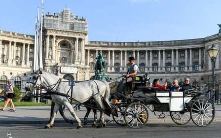 Viena: 30 minutos de paseo en Fiaker por el casco antiguo