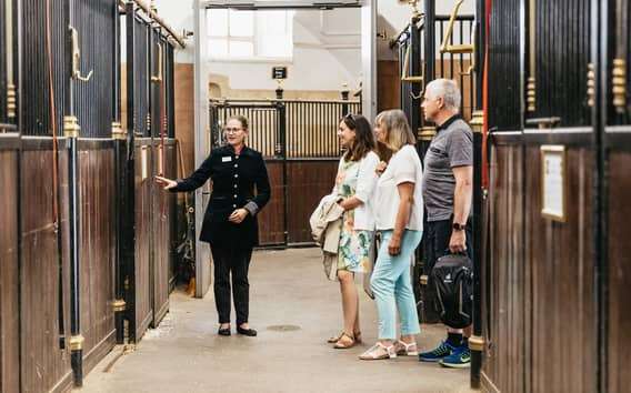 Visita guiada a la Escuela Española de Equitación de Viena