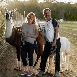 Mödling/Viena: Caminhada cênica guiada com alpacas e lhamas