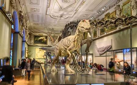 Viena: entradas para el museo de Historia Natural