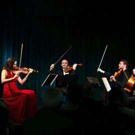 Viena: Concierto de maestros clásicos en la Haus der Musik