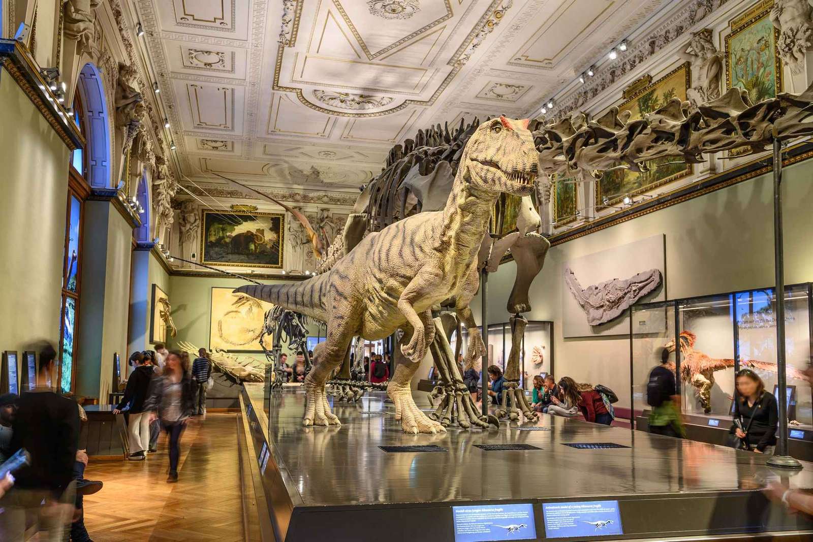Viena: entradas para el museo de Historia Natural