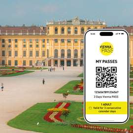 Vienna PASS: 1, 2, 3 o 6 días de visitas turísticas