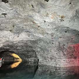 Viena: Excursión por los Bosques de Viena con Lago Subterráneo y Vino