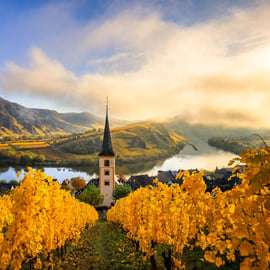 Desde Viena: excursión de 1 día al valle del Wachau con cata de vino