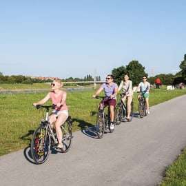 Viena: Cata de vinos en bicicleta eléctrica