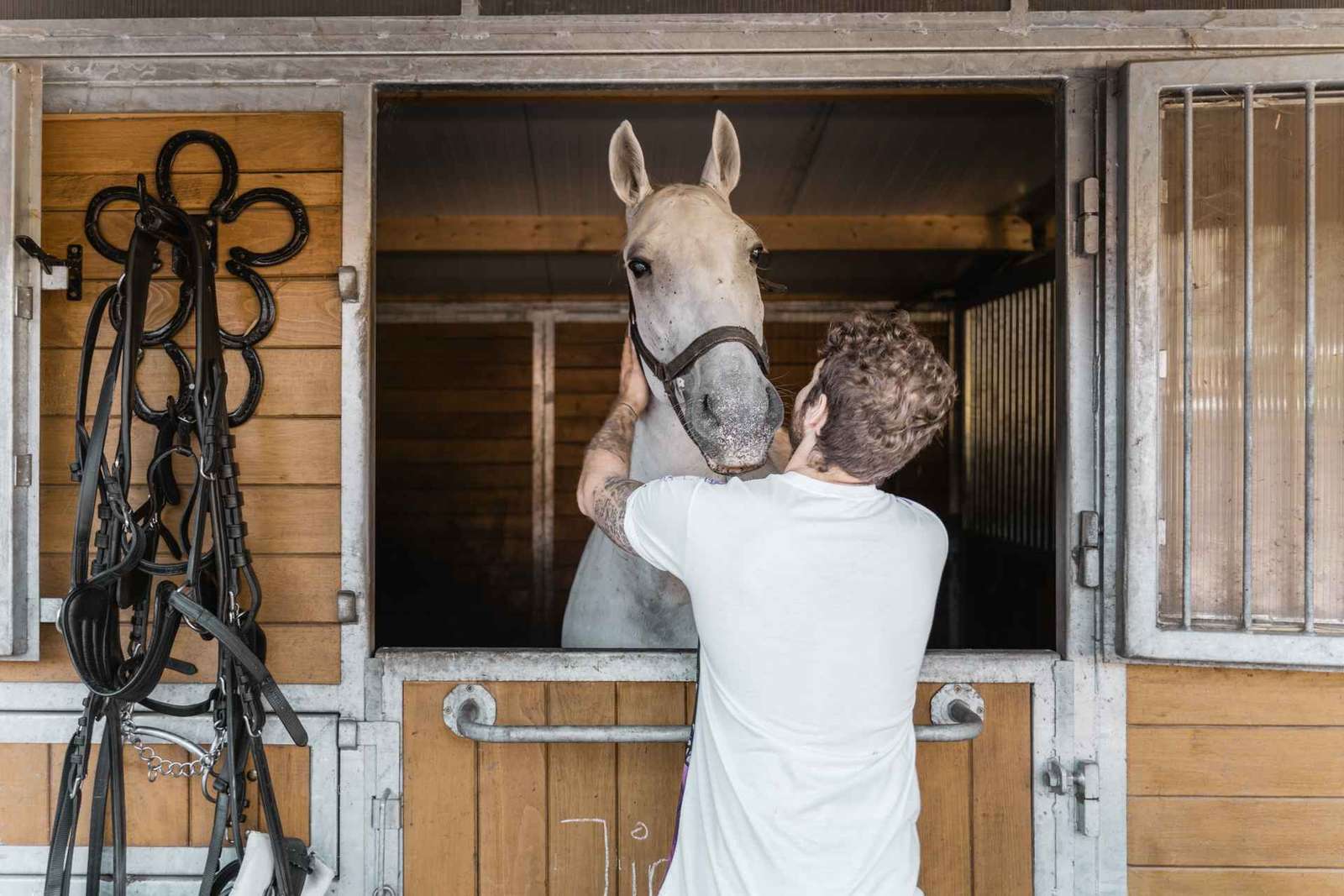 Viena: Secretos del Fiaker y paseo en coche de caballos