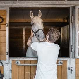 Viena: Secretos del Fiaker y paseo en coche de caballos