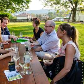 De Viena: Excursão de meio dia ao campo com refeição