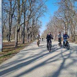 Viena: Visita guiada en bicicleta eléctrica