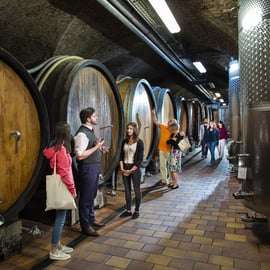 Viena: Cata de vinos en bicicleta eléctrica