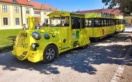 Viena: Billetes de tren panorámico para explorar el Palacio de Schönbrunn