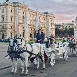 Viena: 30 minutos de paseo en Fiaker por el casco antiguo
