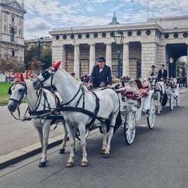 Viena: 30 minutos de paseo en Fiaker por el casco antiguo
