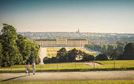 Viena: Entrada al Palacio de Schönbrunn con almuerzo