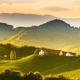 Desde Viena: excursión de 1 día al valle del Wachau con cata de vino