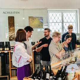 Desde Viena: Excursión de un Día al Valle de Wachau con Cata de Vinos