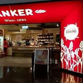 Viena: Traslado privado de ida y vuelta al/del Aeropuerto de Viena