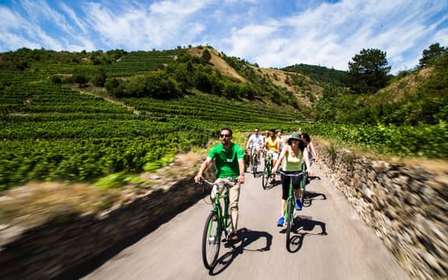 Pastoreo de uvas: Ruta en bici por las bodegas del Valle de Wachau