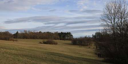Steinhofgründe