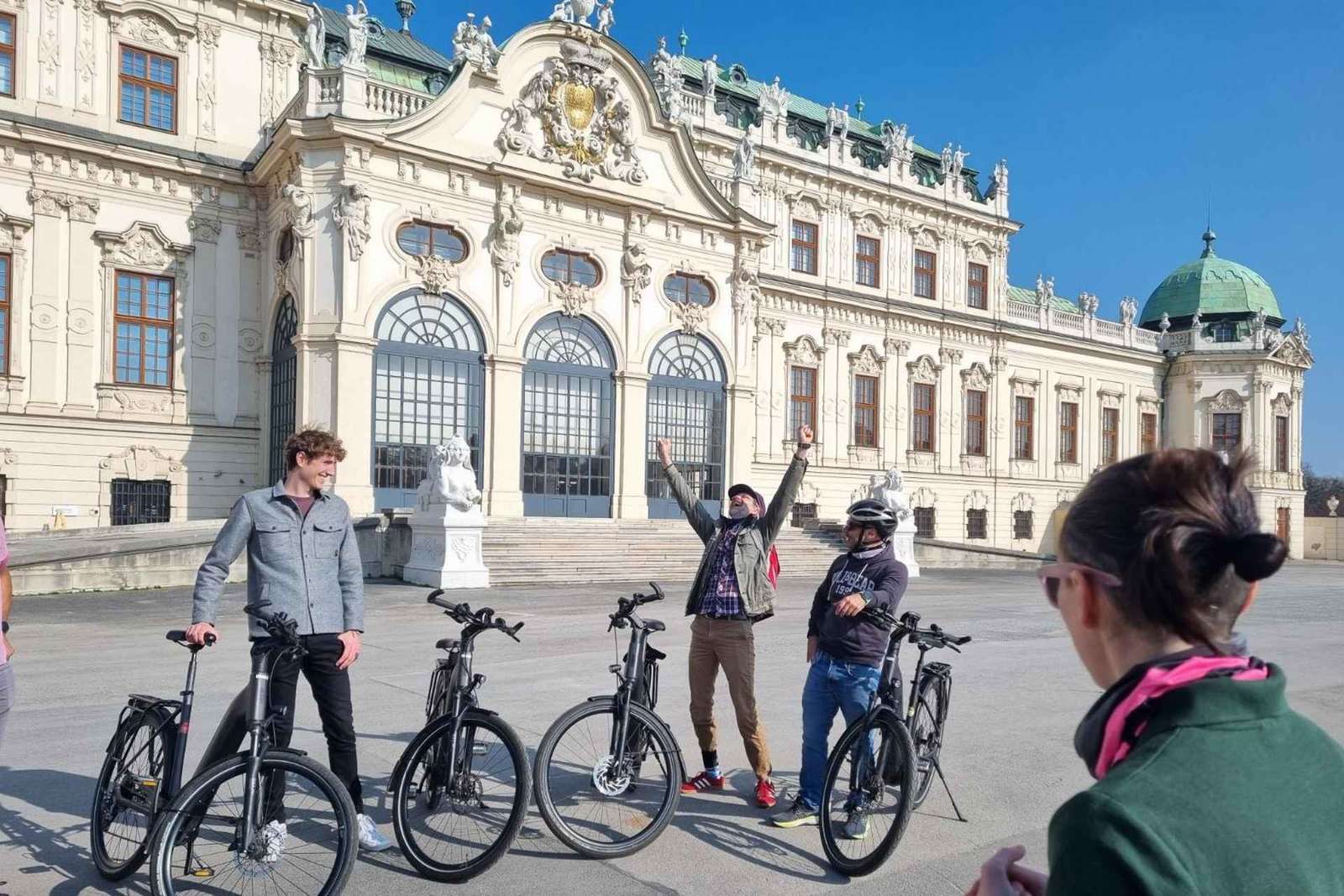 Viena: Visita guiada en bicicleta eléctrica