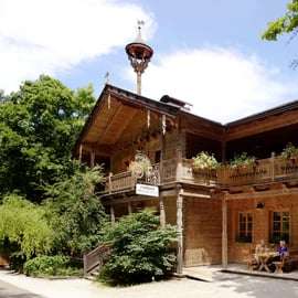 Viena: Ticket de entrada sin colas para el zoo de Schönbrunn