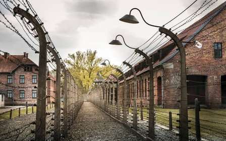 Viena: Visita a Auschwitz Birkenau
