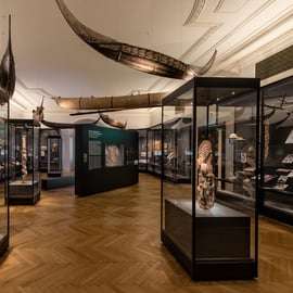 Viena: Ticket de entrada al Weltmuseum