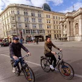 Viena Clásica: Tour guiado en bicicleta de 3 horas