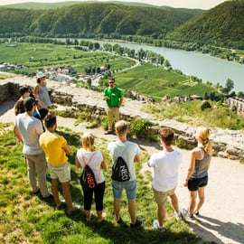 Pastoreio de uvas: Passeio de bicicleta pelas adegas do Vale de Wachau