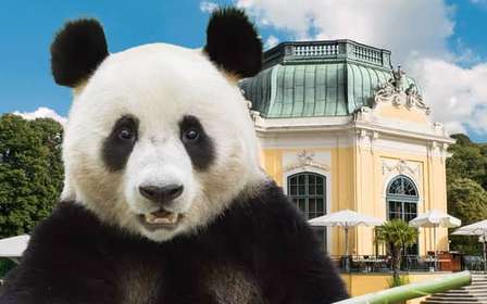 Viena: Ticket de entrada sin colas para el zoo de Schönbrunn