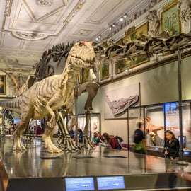 Viena: entradas para el museo de Historia Natural
