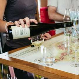 Desde Viena: Excursión de un Día al Valle de Wachau con Cata de Vinos
