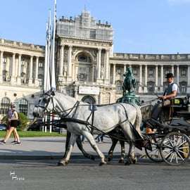 Viena: 30 minutos de paseo en Fiaker por el casco antiguo