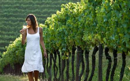 Desde Viena: Tour de medio día enológico por el campo con comida