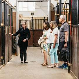 Visita guiada a la Escuela Española de Equitación de Viena