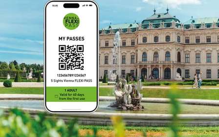 Viena: Flexipass para 2, 3, 4 o 5 lugares de interés