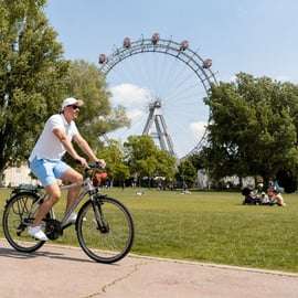 Viena: Passeio turístico guiado em bicicleta