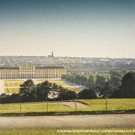 Viena: sáltate la cola en el Palacio de Schönbrunn y el tren panorámico