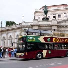 Viena: Recorrido turístico en Big Bus Hop-On Hop-Off