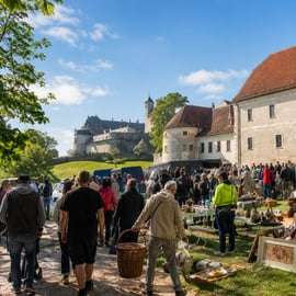 Desde Viena: tour por Bratislava y los castillos de cuento de Eslovaquia