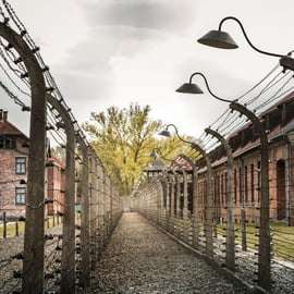 Viena: Visita a Auschwitz Birkenau
