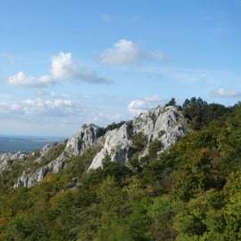 Desde Viena: tour guiado de medio día a Bratislava y sus alrededores
