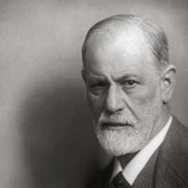 Viena: Ticket de entrada al Museo Sigmund Freud