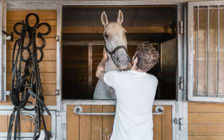 Viena: Secretos del Fiaker y paseo en coche de caballos