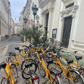 Viena: Lo más destacado de la ciudad Visita guiada en bicicleta